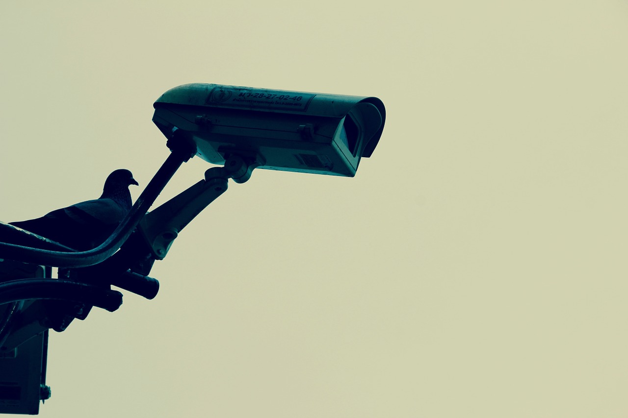 camera videosorveglianza
