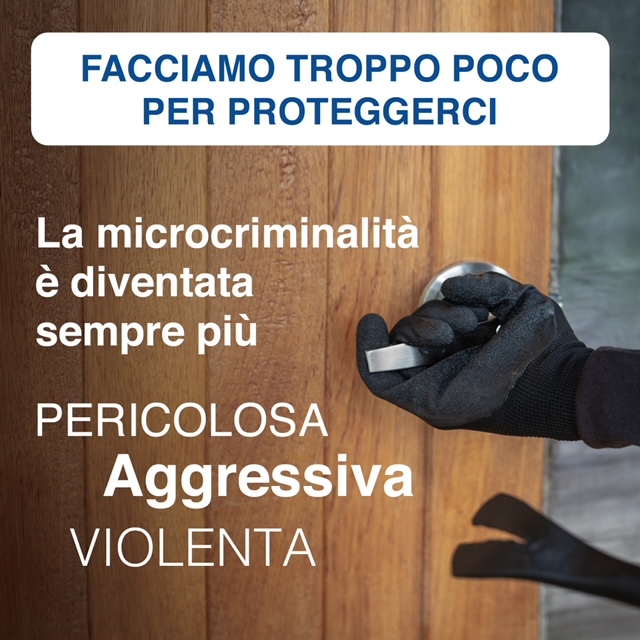 Microcriminalità