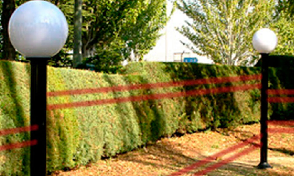 allarme perimetrale giardino